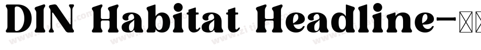 DIN Habitat Headline字体转换